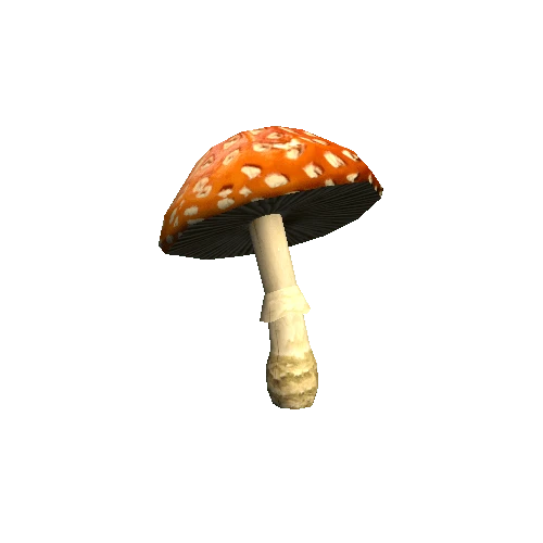 Mushroom02_A_prefab