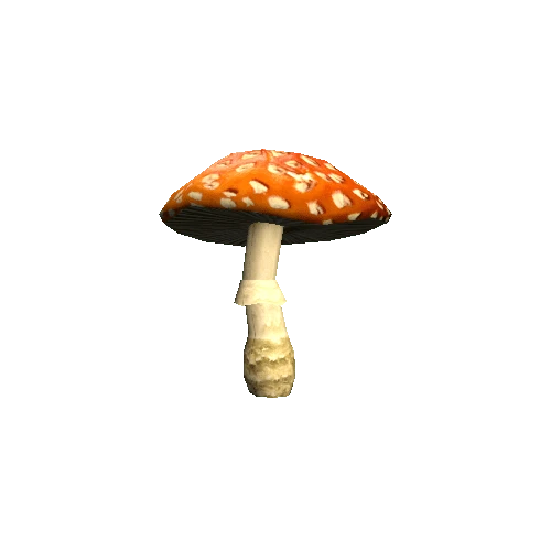 Mushroom02_B_prefab