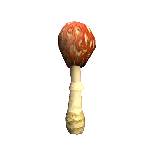 Mushroom02_D_prefab