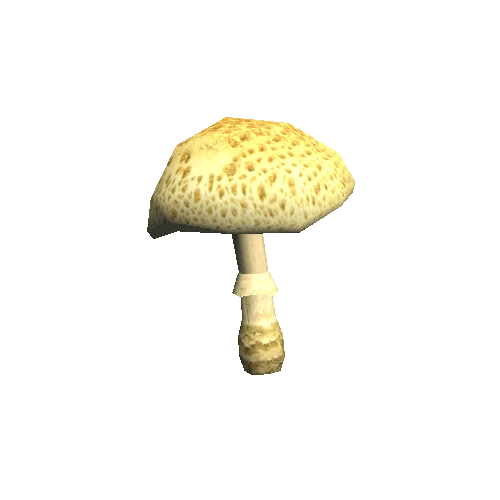 Mushroom03_A_prefab