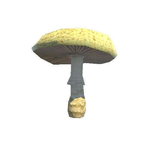 Mushroom03_B_prefab