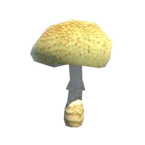 Mushroom03_C_prefab