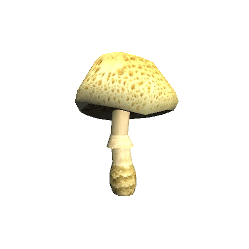 Mushroom03_C_prefab