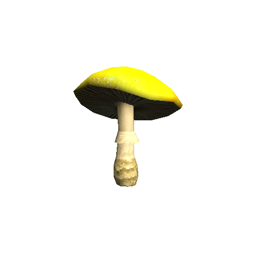 Mushroom04_B_prefab