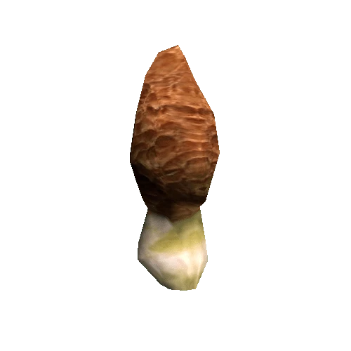 Mushroom05_A_prefab