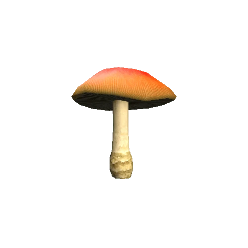 Mushroom06_B_prefab