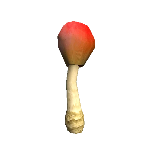 Mushroom06_D_prefab