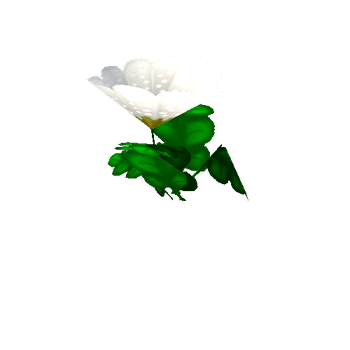 Flower_00_1_2_3