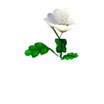 Flower_04_1_2_3