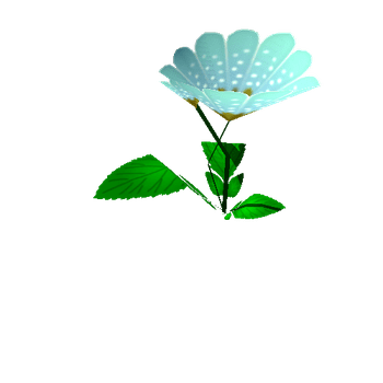 Flower_05_1