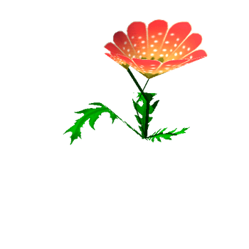 Flower_06_1_2_3_4_5_6