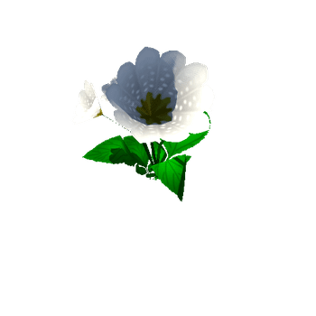 Flower_09_1_2_3