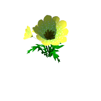 Flower_10_1_2_3_4_5_6_7_8