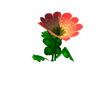 Flower_12_1_2