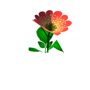 Flower_13_1_2