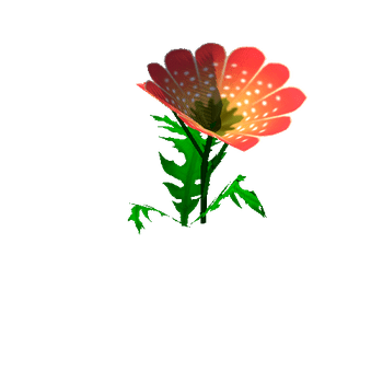 Flower_14_1_2