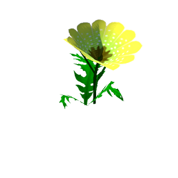 Flower_14_1_2_3_4