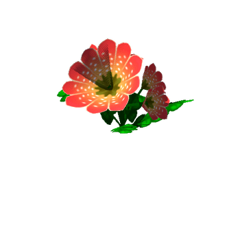 Flower_16_1_2