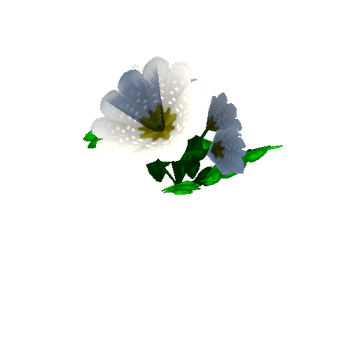 Flower_16_1_2_3_4_5_6_7