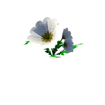 Flower_18_1_2_3