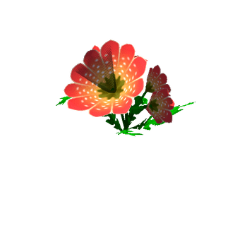 Flower_18_1_2_3_4_5_6