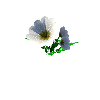 Flower_19_1_2_3