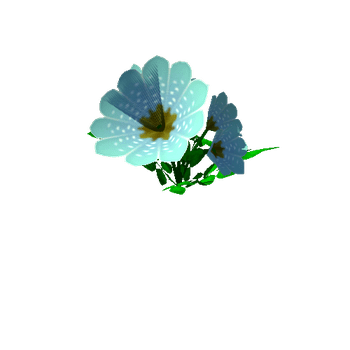 Flower_19_1_2_3_4_5