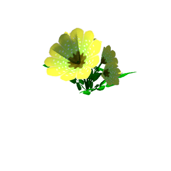 Flower_19_1_2_3_4_5_6_7_8