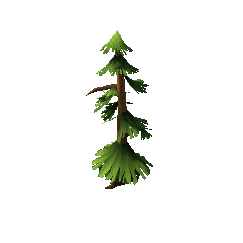 pine_tree_05