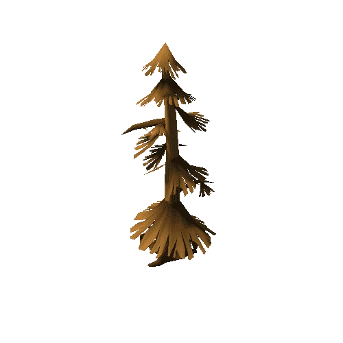 pine_tree_14