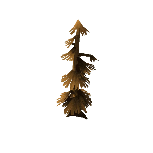 pine_tree_15