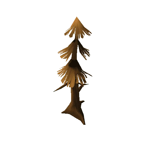 pine_tree_17