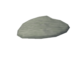 Shell_grey