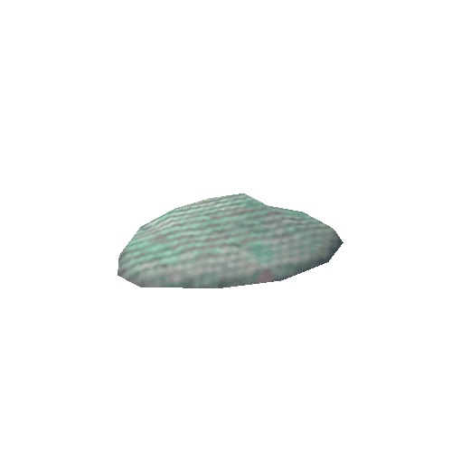 Shell_turquoise