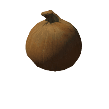 Onion