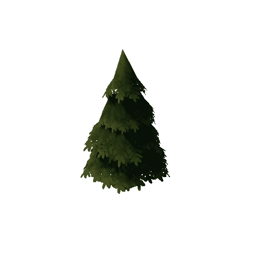 Env_pine_L