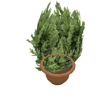 plant_01