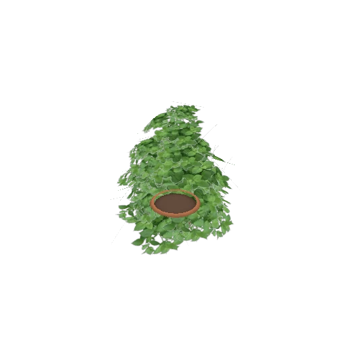 plant_03