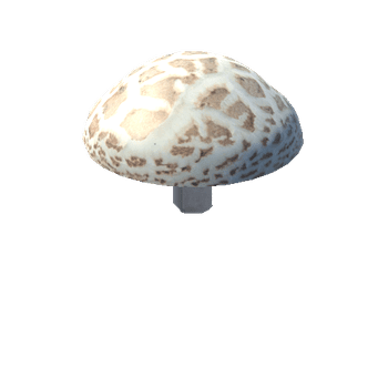 mush_5 Simple Mushrooms