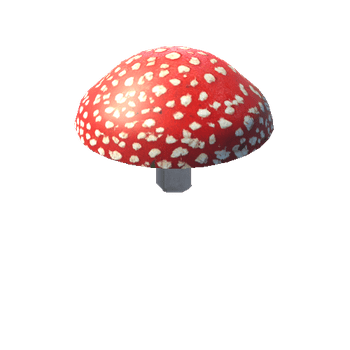 mush_6 Simple Mushrooms