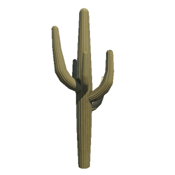 Cactus2