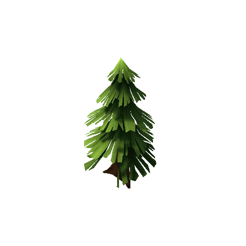 pine_tree_02