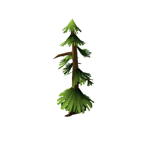 pine_tree_05