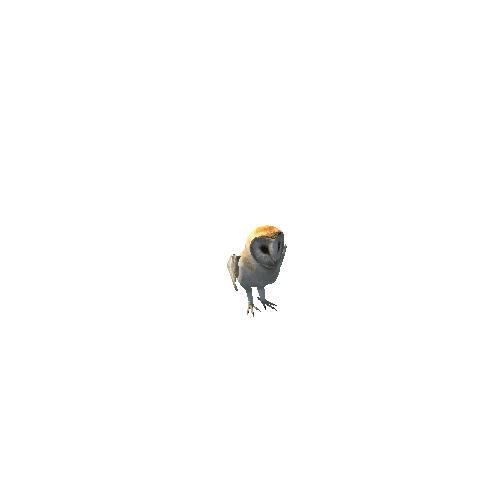 BarnOwl