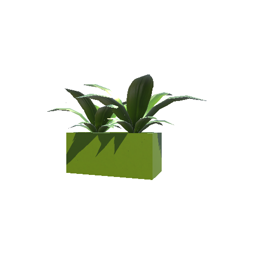 Plant_01