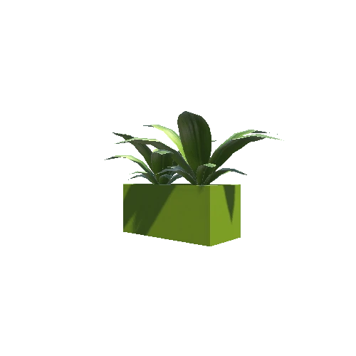 Plant_01