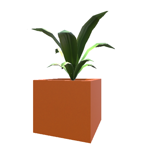 Plant_02_1