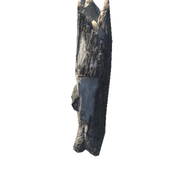 TreeTrunk02