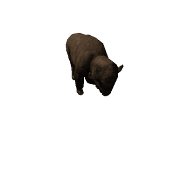 Bison_LowPoly