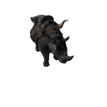 rhino_angry